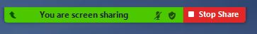 Bar contains the stop share button